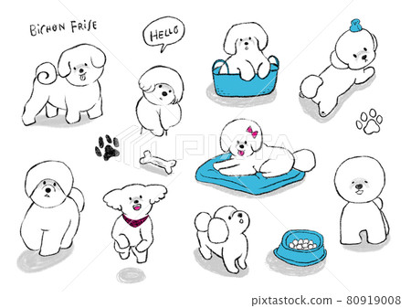 Hand-drawn dog set illustration animal hospital Hand-drawn dog set illustration animal hospital 80919008