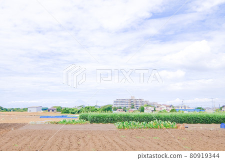 Natural scenery of Miura Peninsula, Kanagawa Prefecture Natural scenery of Miura Peninsula, Kanagawa Prefecture 80919344
