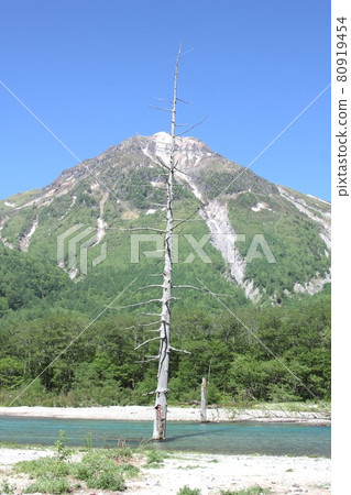 信州上高地,上高地周圍環繞著新鮮的春天綠色植物,大正池的掩埋森林和背景中的燒山 信州上高地,上高地周圍環繞著新鮮的春天綠色植物,大正池的掩埋森林和背景中的燒山 80919454