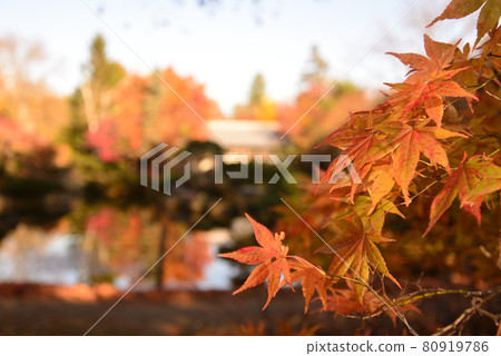 Manabe Garden in late autumn (Obihiro, Hokkaido) 80919786