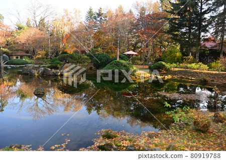 Manabe Garden in late autumn (Obihiro, Hokkaido) Manabe Garden in late autumn (Obihiro, Hokkaido) 80919788