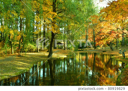深秋的真鍋庭園（北海道帶廣） 80919829