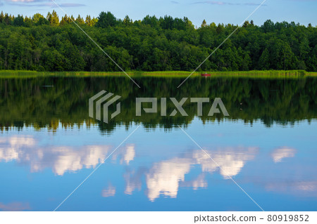 Beautiful summer landscape. View of the lake and forest. Beautiful summer landscape. View of the lake and forest. 80919852