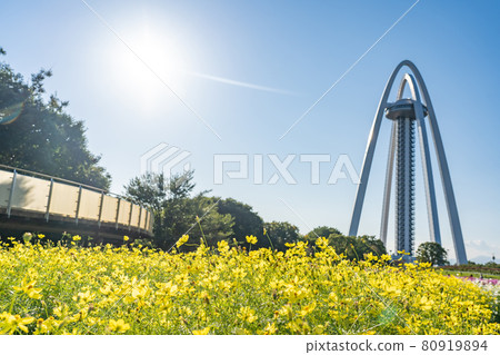 Observation Tower Twin Arch 138 and Yellow Cosmos in Kiso Sansen National Government Park, Ichinomiya City, Aichi Prefecture 80919894