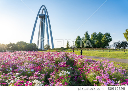 Observation Tower Twin Arch 138 and Cosmos in Kiso Sansen National Government Park, Ichinomiya City, Aichi Prefecture 80919896