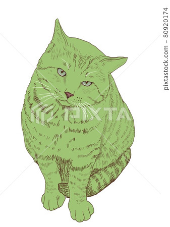 Cat catch illustration 80920174