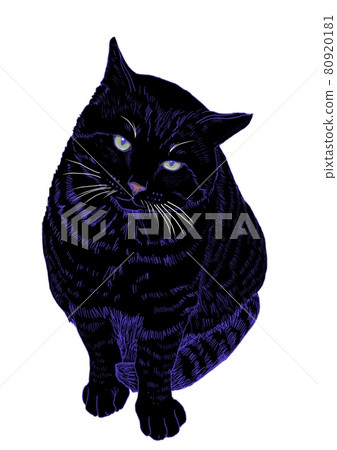 Cat catch illustration Cat catch illustration 80920181