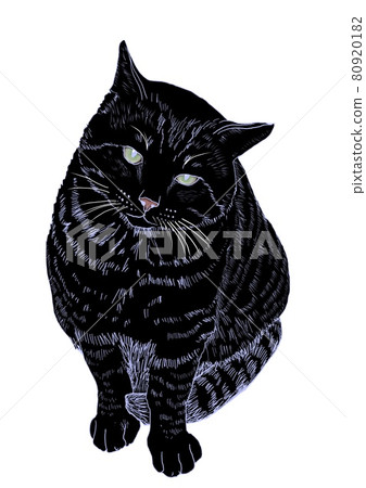 Cat catch illustration Cat catch illustration 80920182