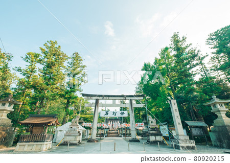 Taga Taisha Mando Matsuri 1 80920215