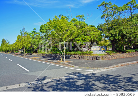 福岡縣行橋綜合公園入口和藍天 80920509