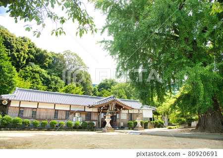 Nyusakado Shrine [Mitani, Katsuragi Town, Ito District, Wakayama Prefecture] 80920691