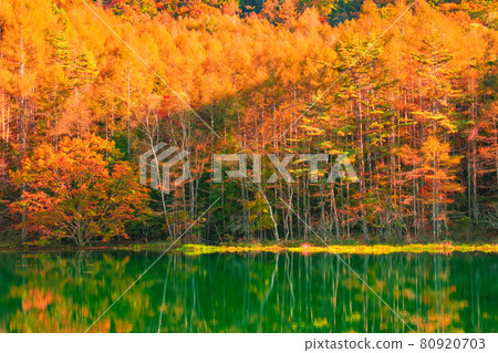 Mishakaike (Autumn) Mishakaike (Autumn) 80920703