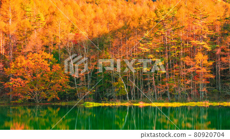 Mishakaike (Autumn) Mishakaike (Autumn) 80920704