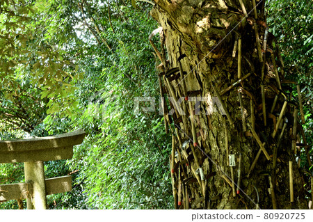 Kamahachimangu（Nyusakado神社）[和歌山縣伊東郡葛城町三谷] 80920725