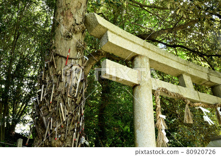 Kamahachimangu (Nyusakado Shrine) [Mitani, Katsuragi-cho, Ito-gun, Wakayama Prefecture] 80920726