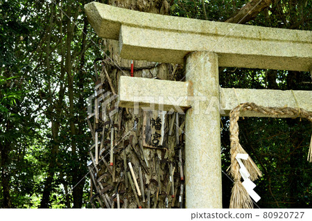 Kamahachimangu (Nyusakado Shrine) [Mitani, Katsuragi-cho, Ito-gun, Wakayama Prefecture] 80920727