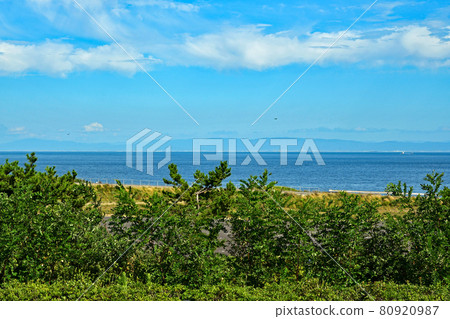 從明石海峽公園眺望瀨戶內海 從明石海峽公園眺望瀨戶內海 80920987