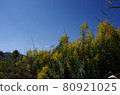 Seita Kawadachi Sow and Autumn Sky 80921025