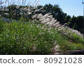 Scenery of Shinri, Nagano City, Nagano Prefecture 80921028