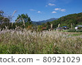 Scenery of Shinri, Nagano City, Nagano Prefecture 80921029
