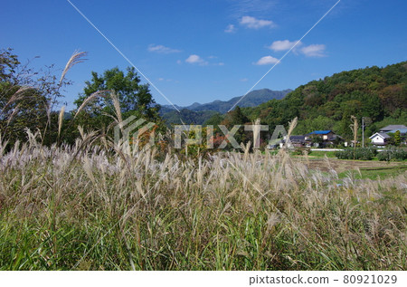 Scenery of Shinri, Nagano City, Nagano Prefecture Scenery of Shinri, Nagano City, Nagano Prefecture 80921029