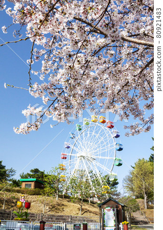 Okazaki Minami Park Spring Amusement Park Area 80921483