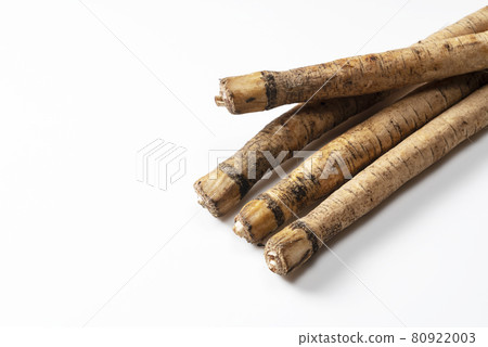 Burdock burdock 80922003