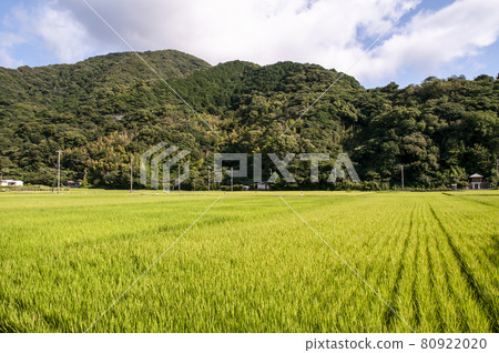 Scenery of Ita Numazu City, Shizuoka Prefecture Scenery of Ita Numazu City, Shizuoka Prefecture 80922020