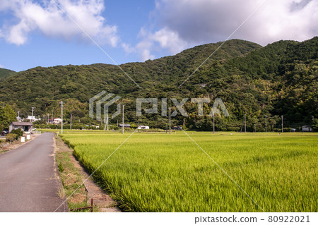 Scenery of Ita Numazu City, Shizuoka Prefecture 80922021