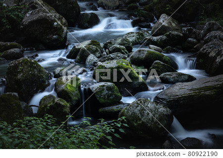 櫻花秋天 櫻花秋天 80922190