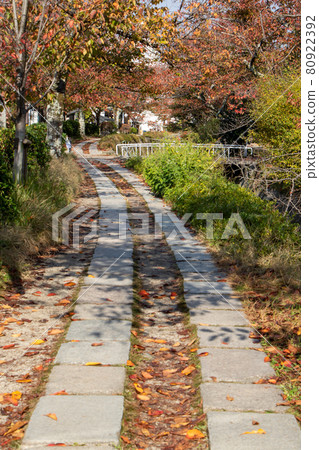 秋季京都長廊哲學道路垂直 秋季京都長廊哲學道路垂直 80922392
