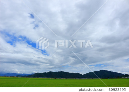 江東田園風光 江東田園風光 80922395