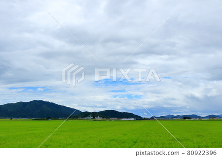 Koto Rural Scenery 80922396