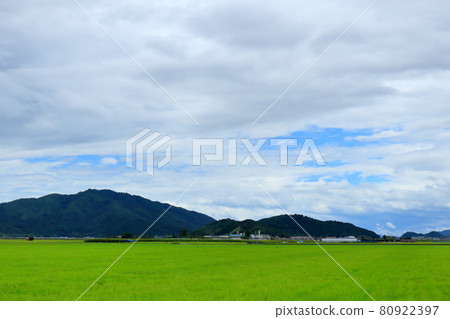 Koto Rural Scenery 80922397