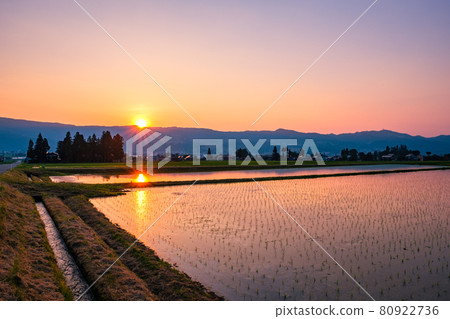 Rural scenery in early summer (dusk) Rural scenery in early summer (dusk) 80922736