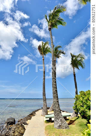 Holidays in Hawaii Holidays in Hawaii 80922751