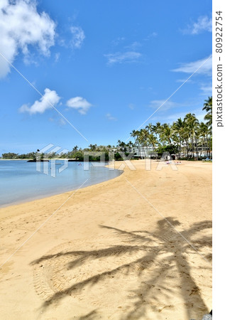 Holidays in Hawaii 80922754