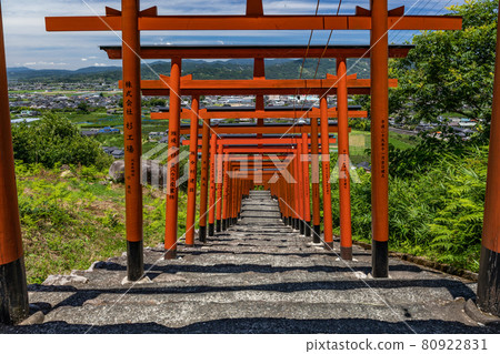 Uva Inari Uva Inari 80922831