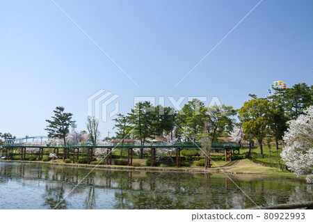Okazaki Minami Park Spring Amusement Park Area 80922993