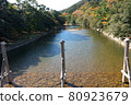 Ise shrine 80923679