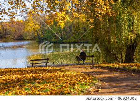 Upper pond in the Sofiyivsky arboretum. Uman, Ukraine Upper pond in the Sofiyivsky arboretum. Uman, Ukraine 80924308