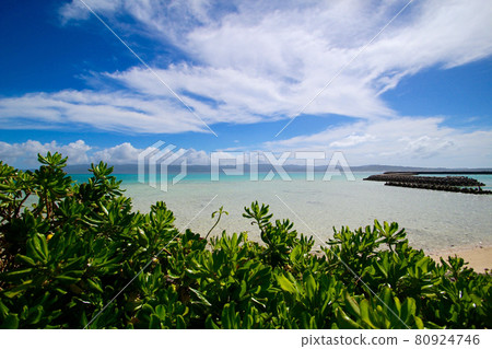 The beach in Hatomajima 80924746