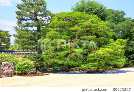Hojo Garden in Kenninji Temple, Kyoto 80925267