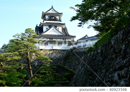 Kochi Castle Tenshukaku和Nishikitaya Sakuma Kochi Castle Tenshukaku和Nishikitaya Sakuma 80925506