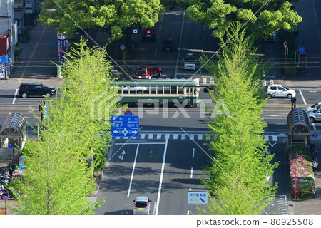 從高知城天守閣到縣政府的電車 從高知城天守閣到縣政府的電車 80925508