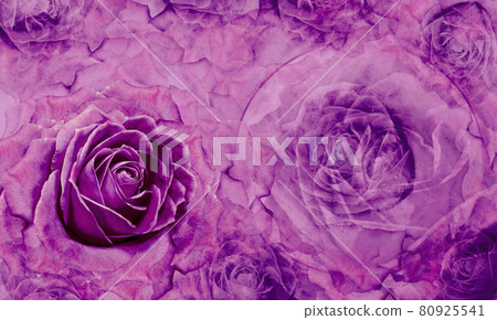 Floral red-pink background. Flowers and rose petals. Flower composition. Greeting card. Nature. Floral red-pink background. Flowers and rose petals. Flower composition. Greeting card. Nature. 80925541