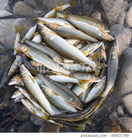 Good fishing Good fishing 80925790