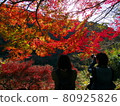 Autumn leaves 80925826