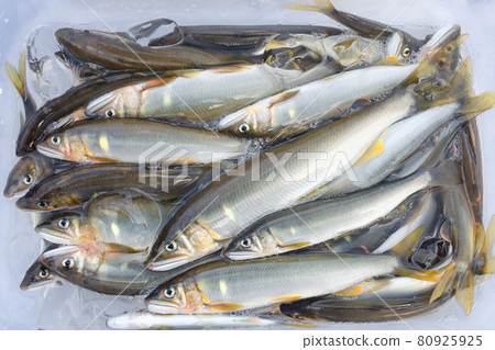 天然阿玉 天然阿玉 80925925