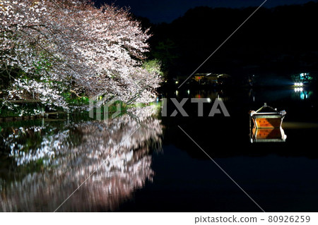 Cherry blossoms and small boat at night Cherry blossoms and small boat at night 80926259